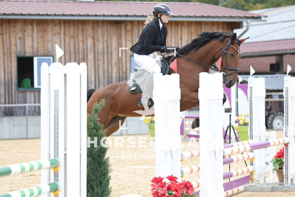 0P6A8976 | Willkommen bei Brunnmayr - Design & Fotografie – Ihrem Spezialisten für Reitturniere und Pferdeveranstaltungen in Oberösterreich, Salzburg und Bayern! Seit über 17 Jahren sind wir leidenschaftlich dabei.
