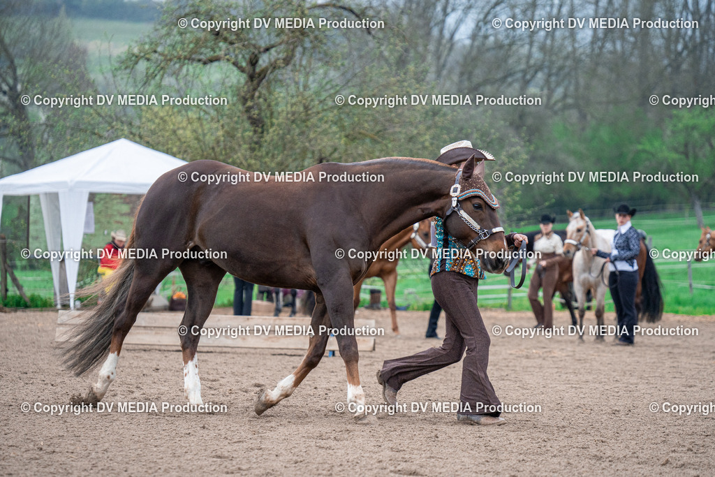 BA300028 | dv-media-shop - Realisiert mit Pictrs.com