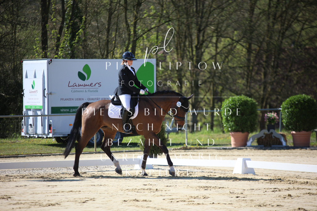 IMGT9294 | pl-fotografie