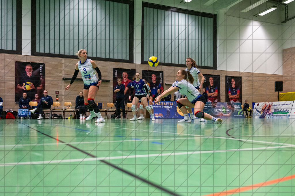 2. VBLF Nord 25/26 | Spiel 4097 | VC Osnabrück vs. Team 48 Hildesheim | //  21.02.26: 2. VBLF Nord 25/26 | Spiel 4097 | VC Osnabrück vs. Team 48 Hildesheim / Osnabrück / Deutschland  //   CREDIT:www.bullenfotos.de, Martin König, Hörner Weg 40, D-49078 Osnabrück, +4917663732967 // Nutzung und Weitergabe nur zu den vereinbarten Zwecken. Presseanfragen an Ersteller. Alle Rechte beim Ersteller. Honorierung nach MFM. - Realisiert mit Pictrs.com