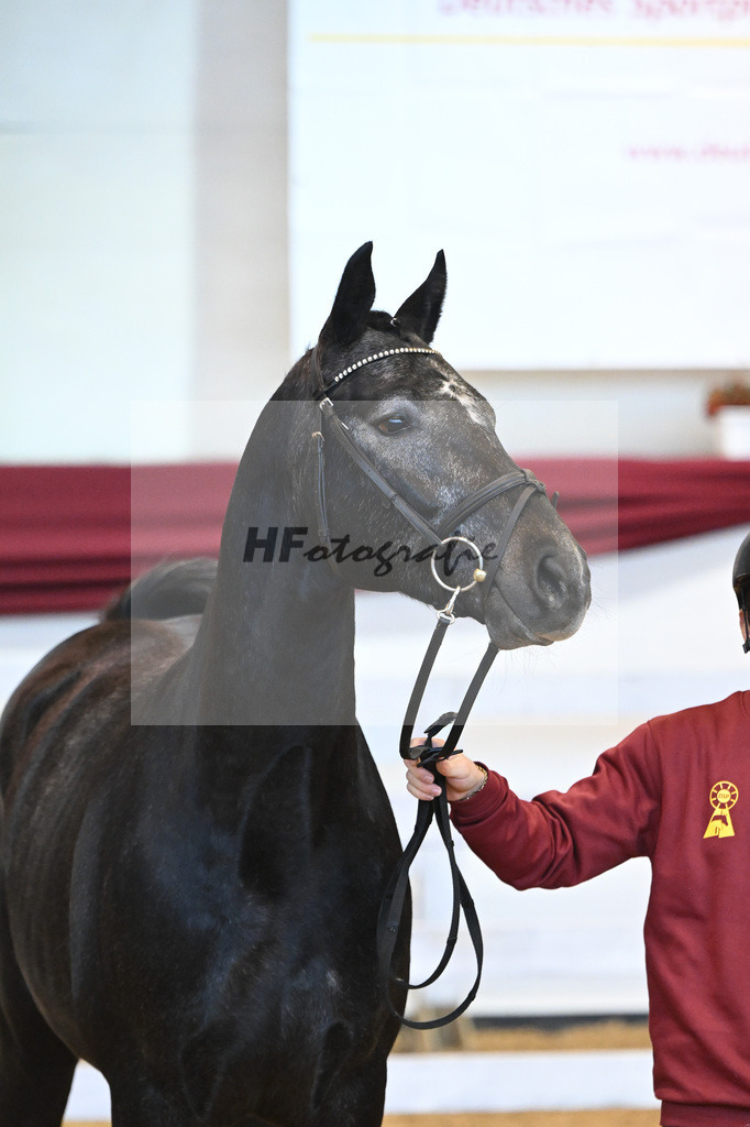 Kat-Nr. 15 v. Conthargos_Schmid_66221420 | hf-fotografie - Realisiert mit Pictrs.com