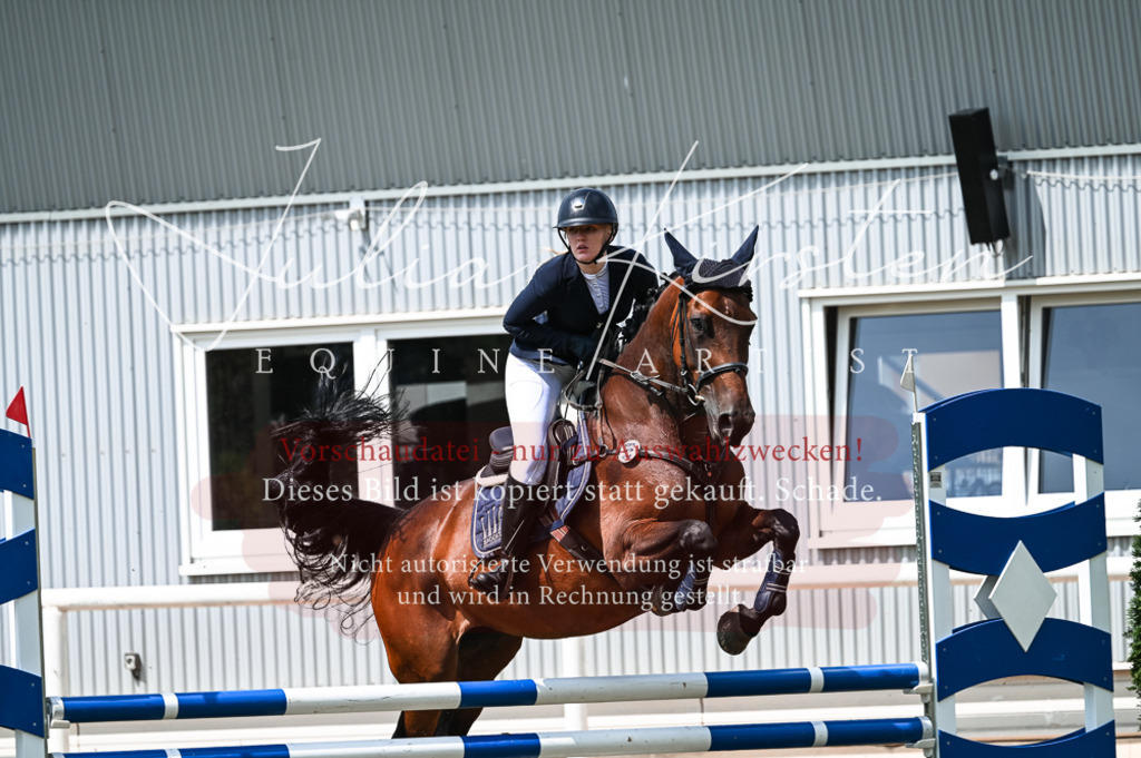 DSC_9112 | Pferde- und Turnierfotografie in Westsachsen. Pferdeportraits, Auftragszeichnungen und intuitive Kunst.