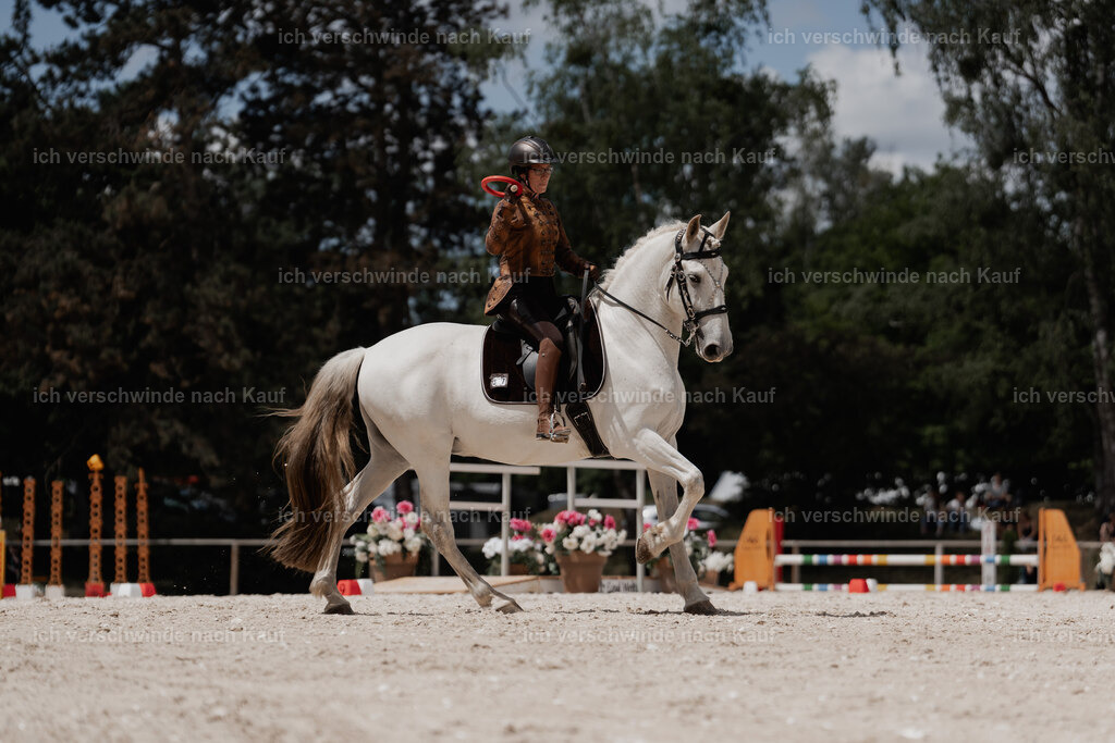 WE_ST_Stoib_347_PI2025_1051 | Pferd International München 2025