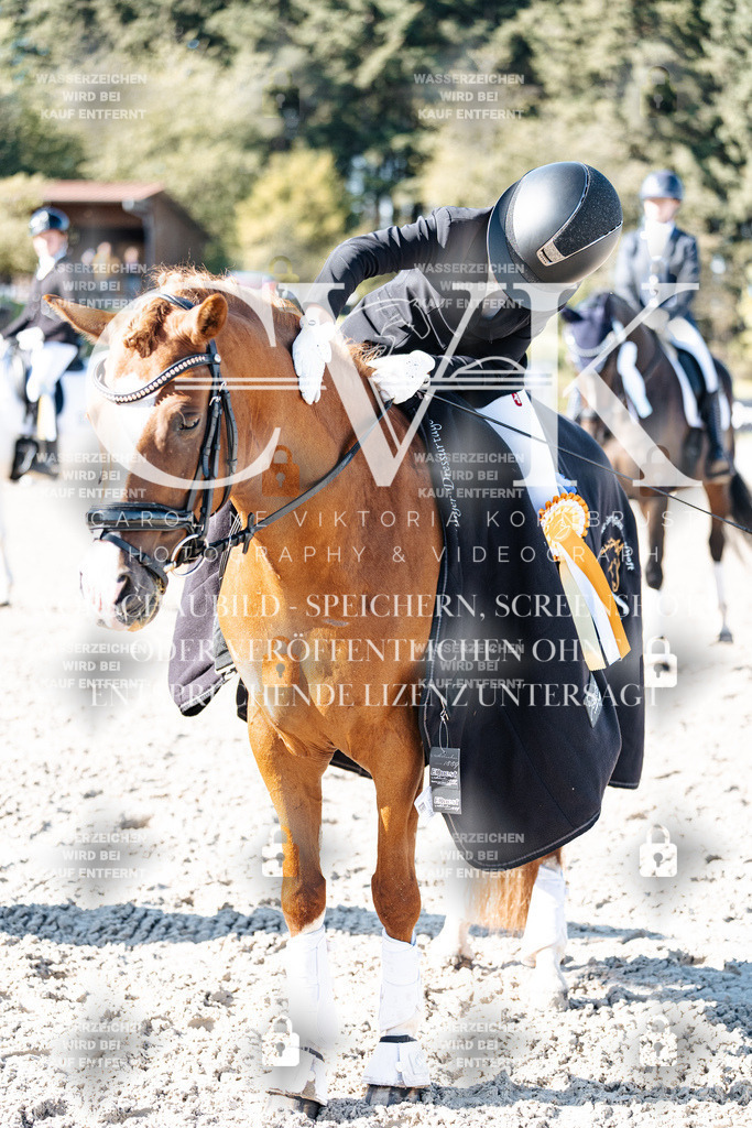 CK908475 | Turnierfotografie Pferdefotografie Trier Rheinland-Pfalz Pferdesport Reitsport Tierfotografie Sportfotografie Pferdevideo Pferdevideografie Equestrianvideography equestrianphotography  - Realisiert mit Pictrs.com