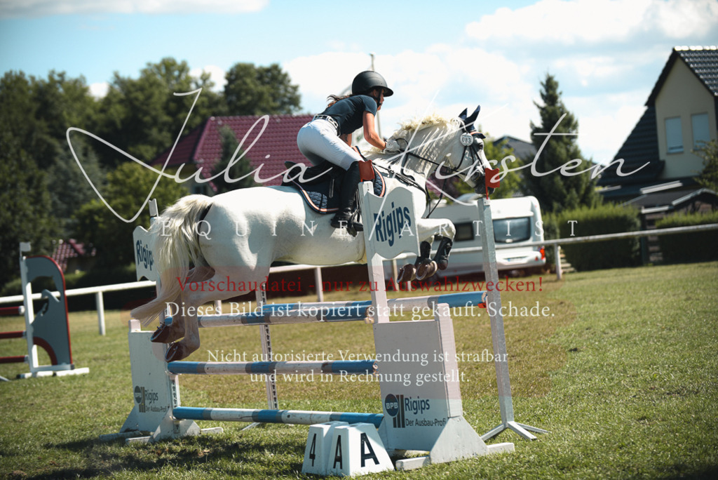 DSC_7267 | Pferde- und Turnierfotografie in Westsachsen. Pferdeportraits, Auftragszeichnungen und intuitive Kunst.