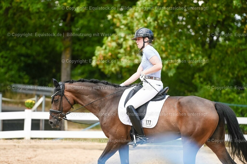 20230715_02_Dressurreiterprüfung Kl.L_0428 | equistock