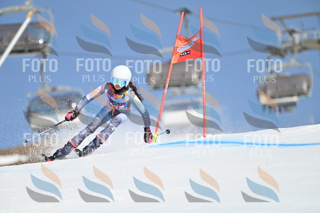 BGV_8144 | holidayphoto