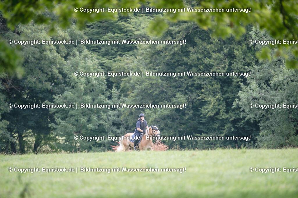 20250726_Vielseitigkeitslehrgang-Marbach_0608 | Foto: Thomas Hartig