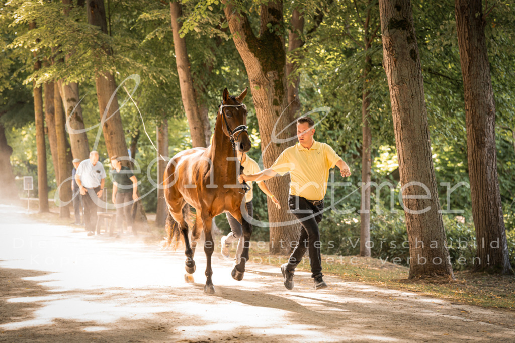 FrPfM00183 | Leoni Ertmer Photography - Realisiert mit Pictrs.com