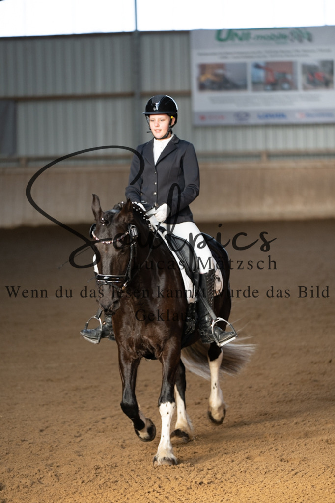 A7V05671 | Pferdefotograf