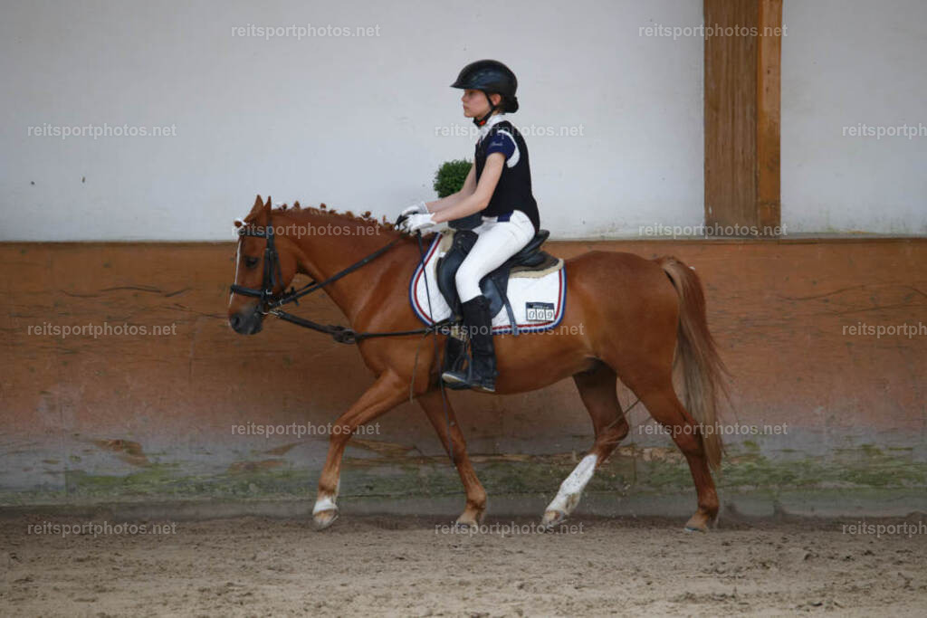 JHE_3265 | JoYa Fotografie - Realisiert mit Pictrs.com