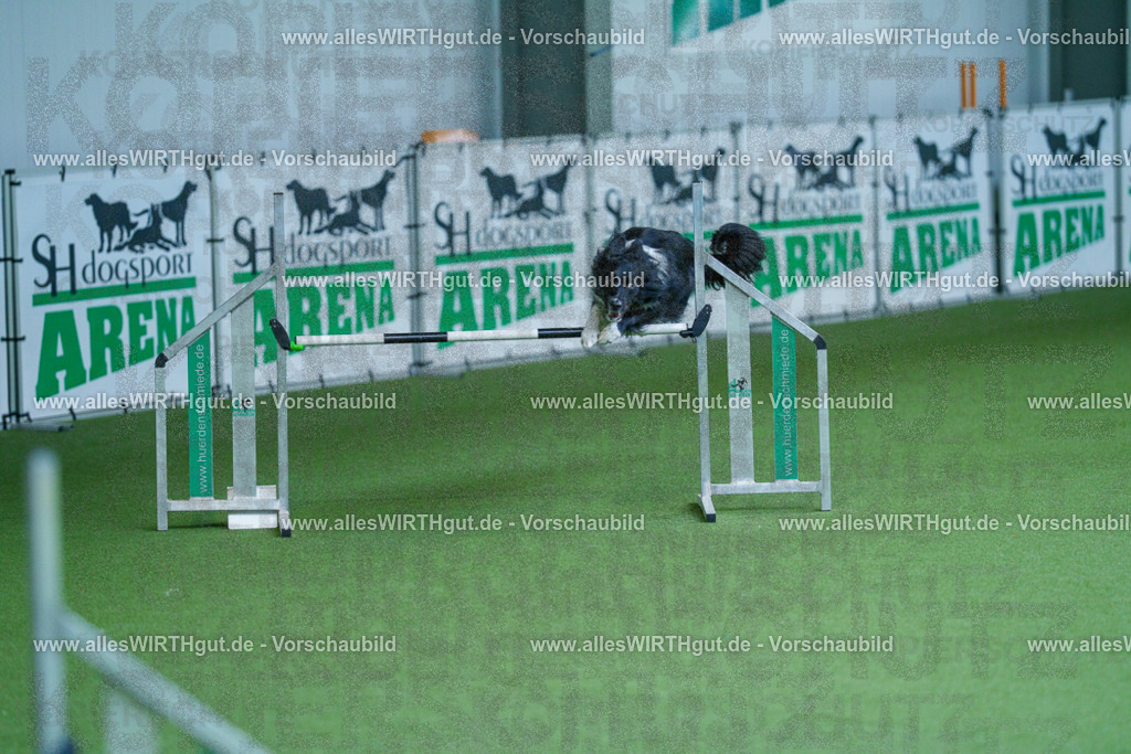 @allesWIRTHgut_Tierfotografie - www.allesWIRTHgut.de - 2604261404-7R503329 | Professionelle Tierfotografie in Mönchengladbach von Daniel Wirth (allesWIRTHgut). Liebevolle & natürliche Bilder von Hunden & Katzen für unvergessliche Erinnerungen.