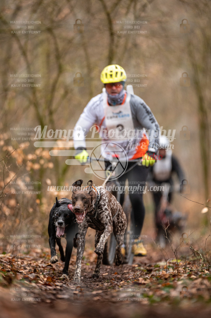 Reiat2023_SON_DS2_8km_2H-10 | PayLife
