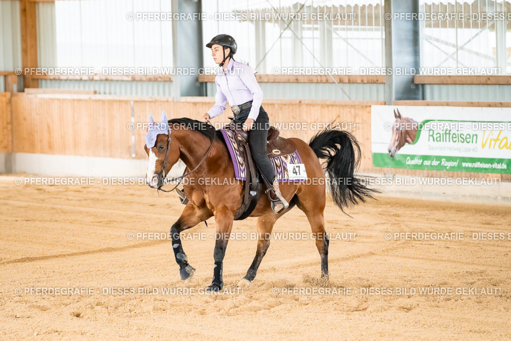 DSC02015 | Pferdegrafie