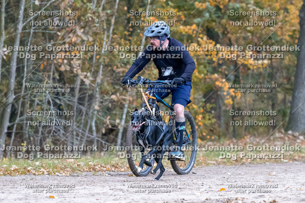 Dog Paparazzi - SD CaniX Championship 2025-221 | Dog Paparazzi Jeanette Grottendiek Fotografie & Videografie - Realisiert mit Pictrs.com