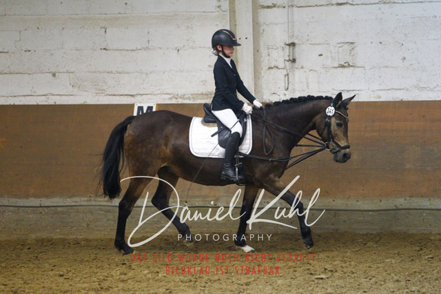 DKP44097 | Turniersportfotografie; Pferdefotografie; Dressurfotografie