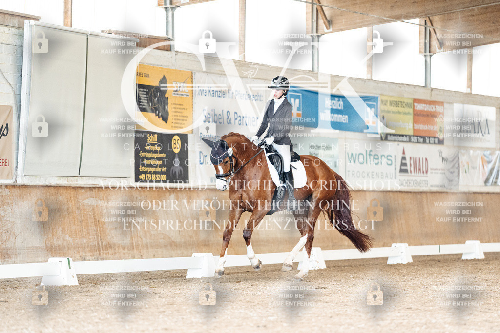 CK901303 | Turnierfotografie Pferdefotografie Trier Rheinland-Pfalz Pferdesport Reitsport Tierfotografie Sportfotografie Pferdevideo Pferdevideografie Equestrianvideography equestrianphotography  - Realisiert mit Pictrs.com
