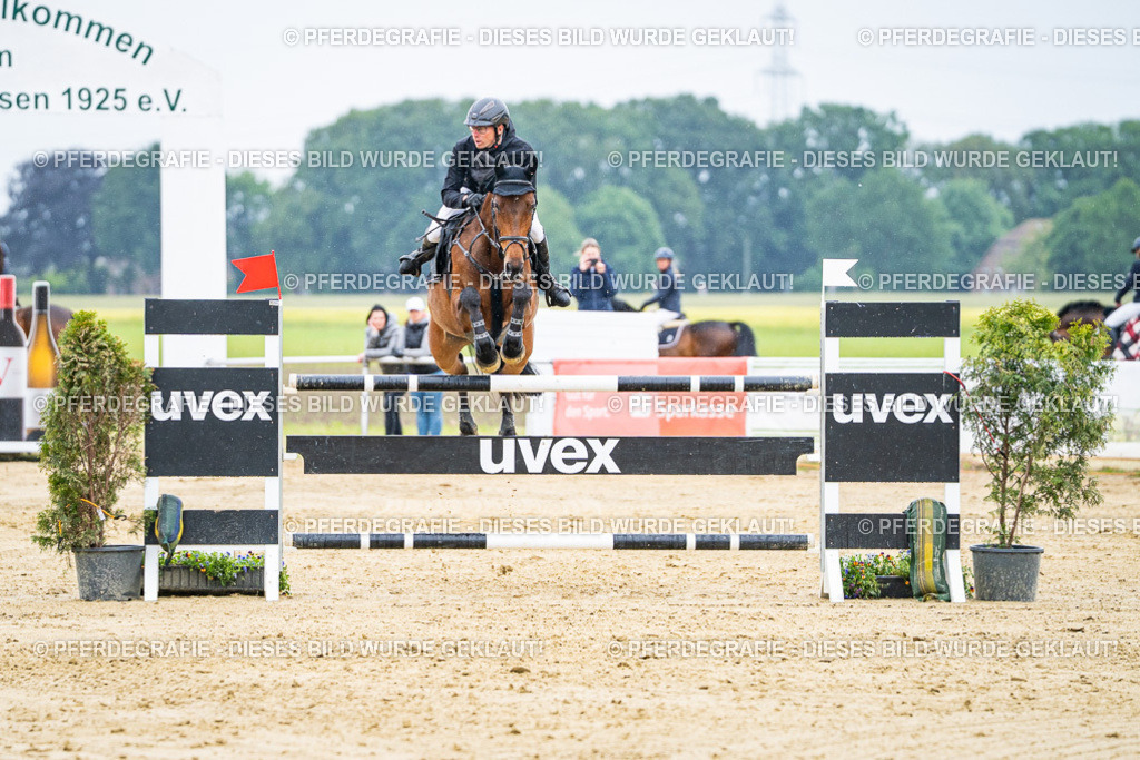 DSC08231 | Pferdegrafie