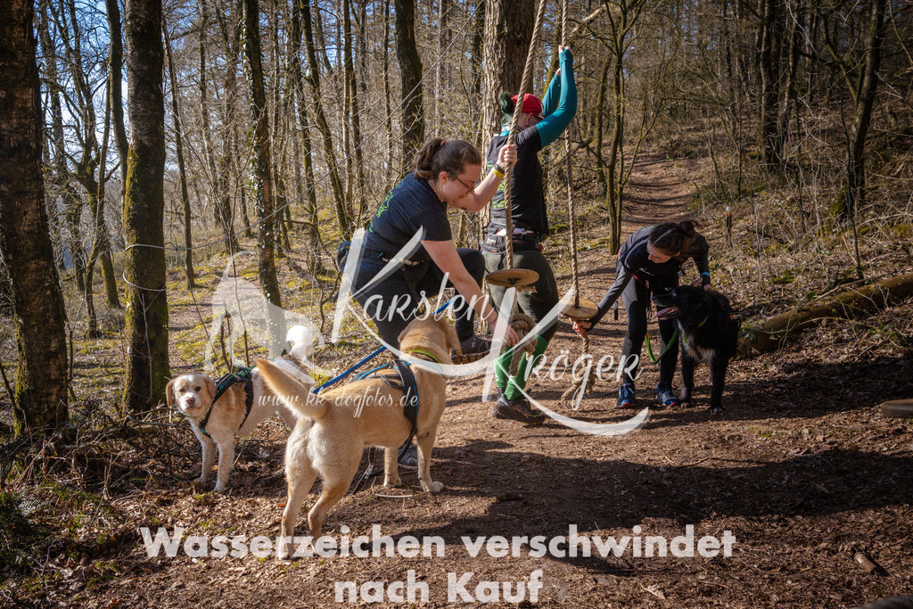0936_ZZ99072 | kk-dogfotos