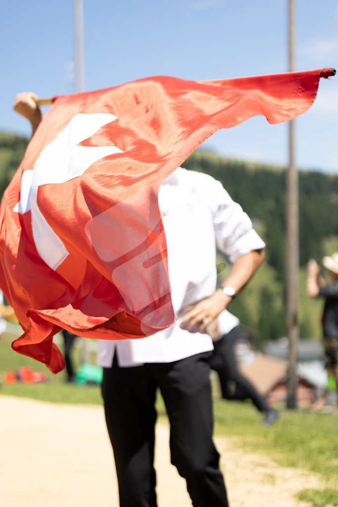 Rigi2025_2032 | Die Schwinger des Schwyzer Kantonalen Schwingerverbandes: Fotos, die Dynamik und Leidenschaft festhalten, sowie emotionale Momente aus dem traditionellen Schwingsport zeigen. - Realisiert mit Pictrs.com