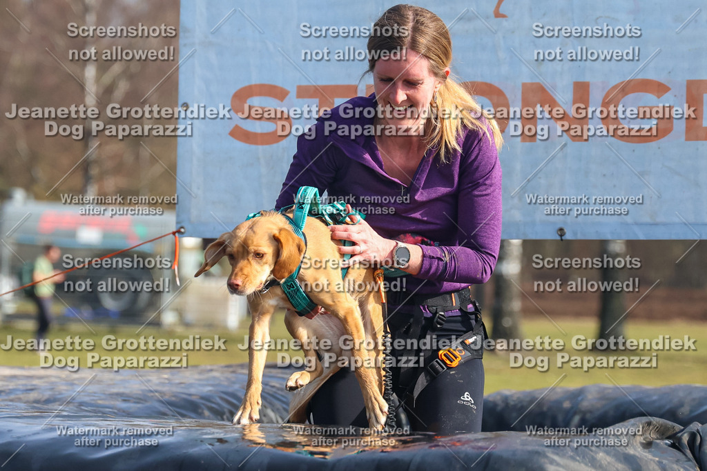 Dog Paparazzi - Strongdog North Mrz26-1835 | Dog Paparazzi Jeanette Grottendiek Fotografie & Videografie - Realisiert mit Pictrs.com