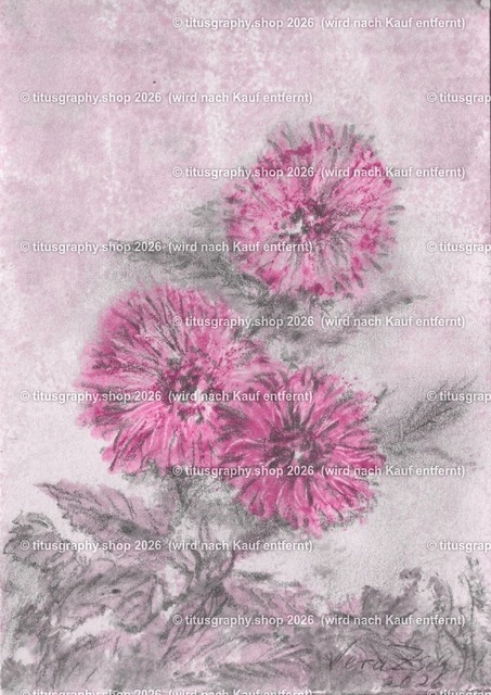 Asterngruß Variation 26 | Zeichnung von Vera Zschecked exclusiv auf titusgraphy.eu - Realisiert mit Pictrs.com