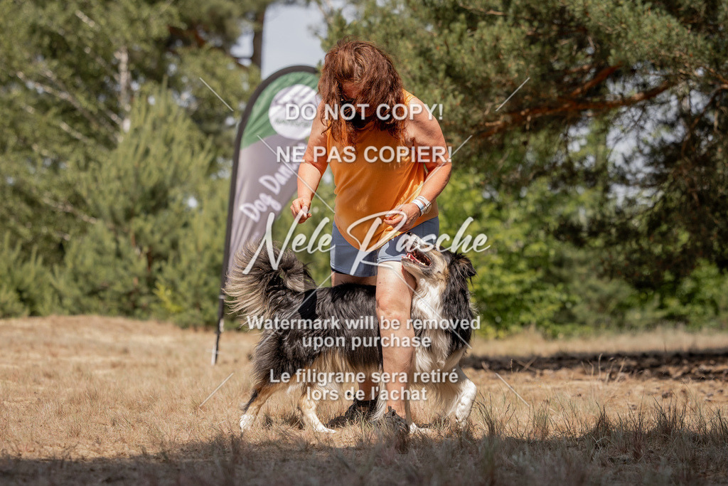 nelerasche_soDD2_466 | nelerasche