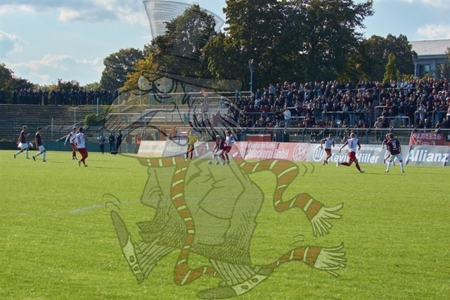 BFC Dynamo vs. FSV Zwickau 127 | mythos-online-redaktion
