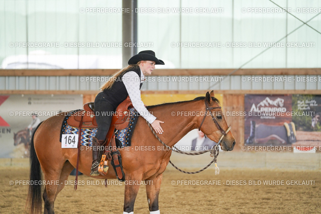 DSC04964 | Pferdegrafie