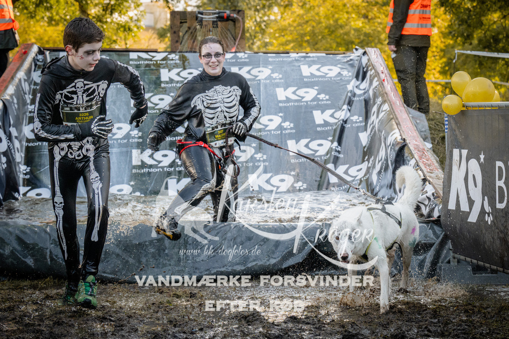 1430_ZZ93272 | kk-dogfotos
