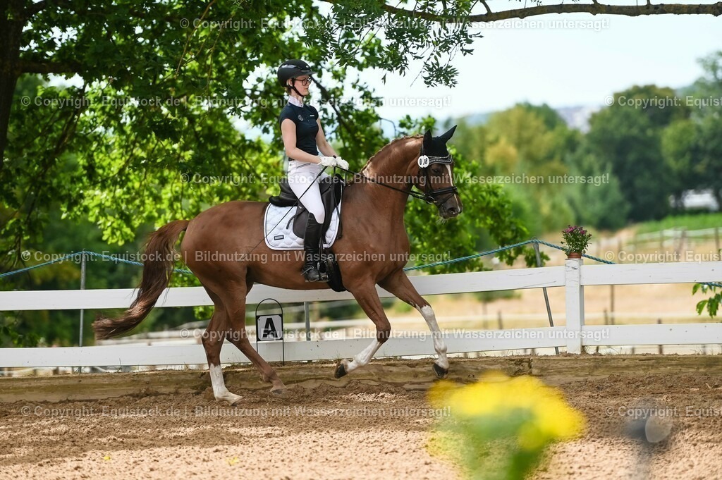 20230715_07_Dressurpferdeprfg. Kl.L_0094 | equistock