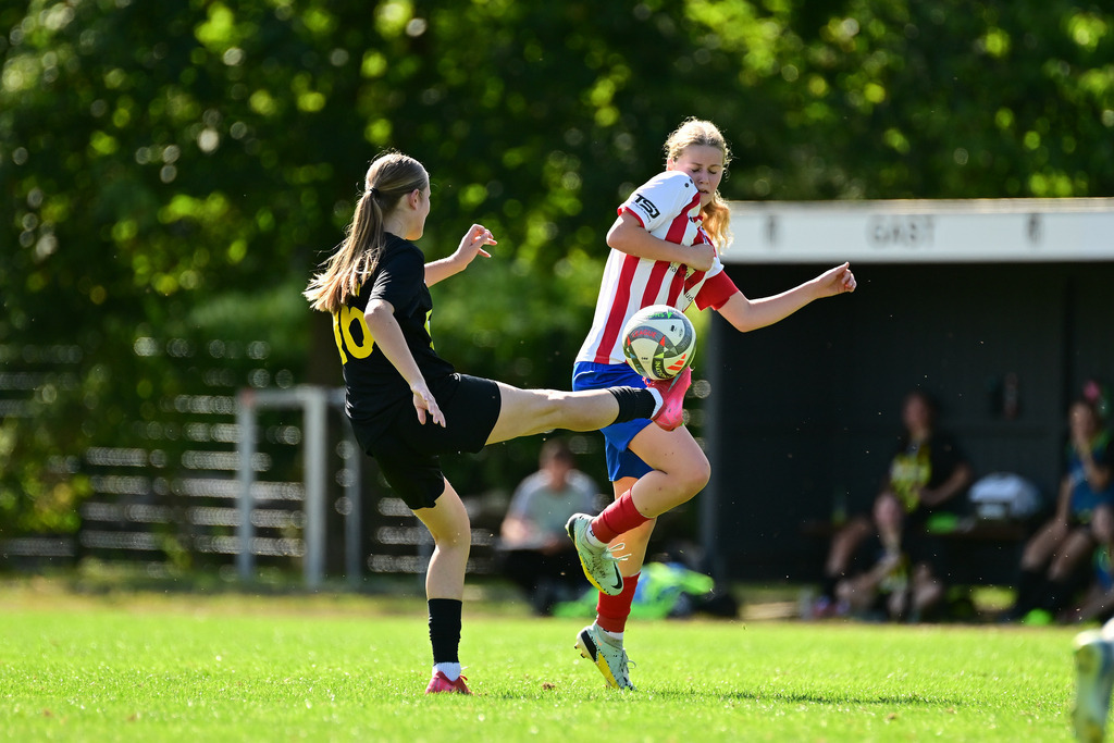 Fußball I Juniorinnen I Saison 2025-2026 I Oberliga Niedersachsen I 2. Spieltag I FC Rosengarten - ATSV Scharmbeckstotel | Der Sportfotograf. - Realisiert mit Pictrs.com