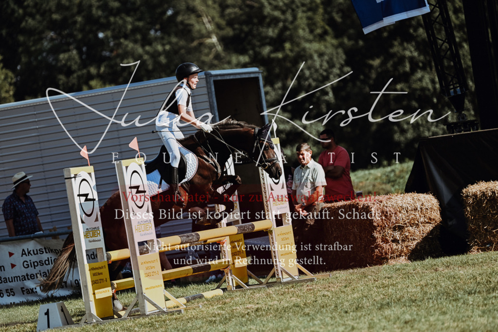 DSC_6898 | Pferde- und Turnierfotografie in Westsachsen. Pferdeportraits, Auftragszeichnungen und intuitive Kunst.
