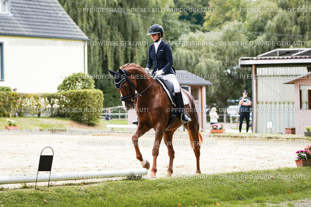 DSC06995 | Pferdegrafie