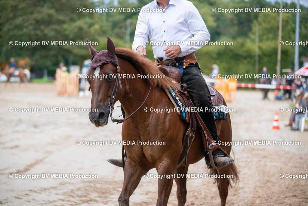 ZS2_4337 | dv-media-shop - Realisiert mit Pictrs.com