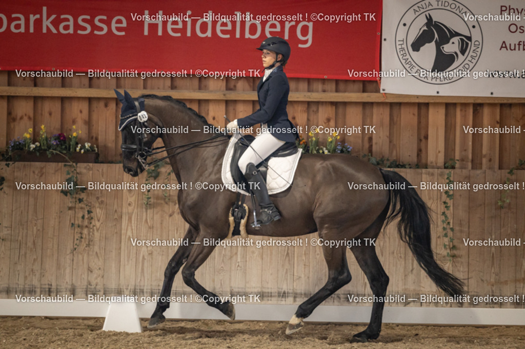 _D5A9168 | Emotionale Pferde- & People-Fotografie rund um Heidelberg, Leimen & Umgebung. Natürliche Fotos von Pferd, Mensch & Familie. Jetzt Termin sichern!