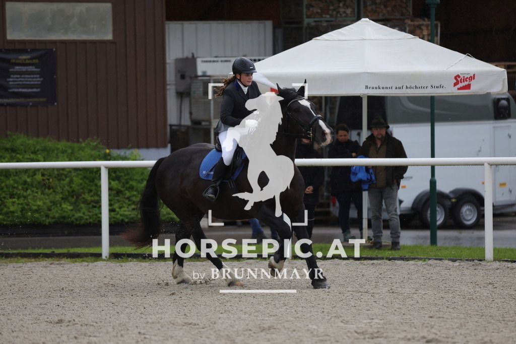 0P6A7404 | Willkommen bei Brunnmayr - Design & Fotografie – Ihrem Spezialisten für Reitturniere und Pferdeveranstaltungen in Oberösterreich, Salzburg und Bayern! Seit über 17 Jahren sind wir leidenschaftlich dabei.