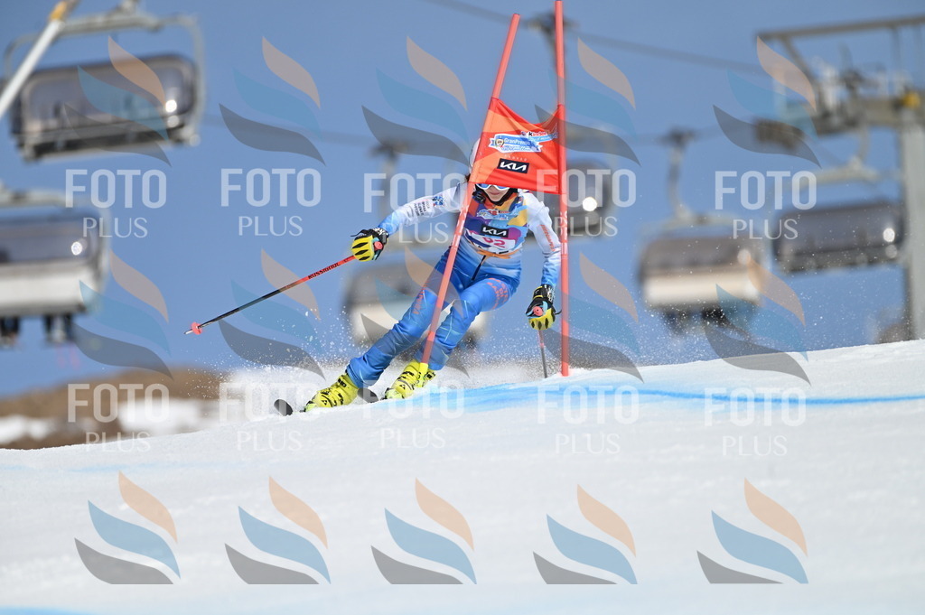 BGV_8754 | holidayphoto