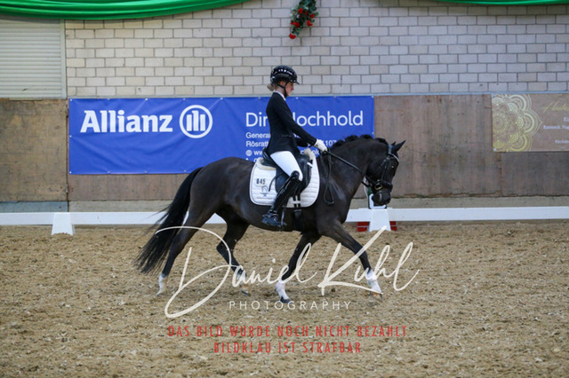 IMG_2798 | Turnierfotos kaufen im Webshop von Daniel Kuhl Photography – entdecke professionelle Reitsportfotos aus Turnieren & Events. Hochwertige Turnierbilder online bestellen & sichern. Jetzt Fotos von Reitsportturnieren kaufen!