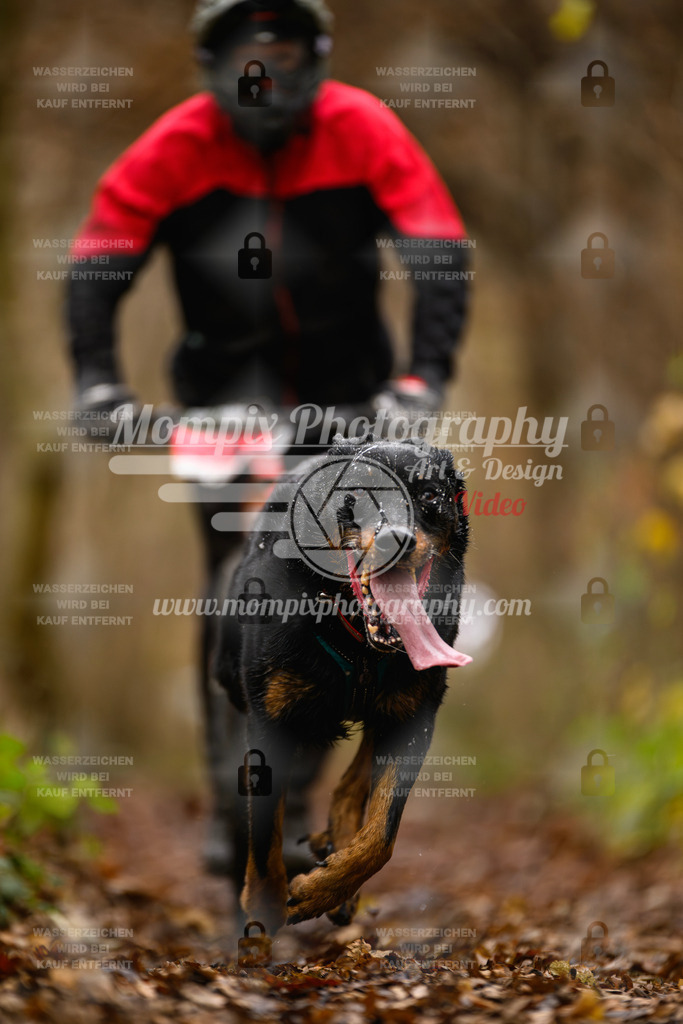 MompixPhotography_Eschau2024_DS1-22 | PayLife