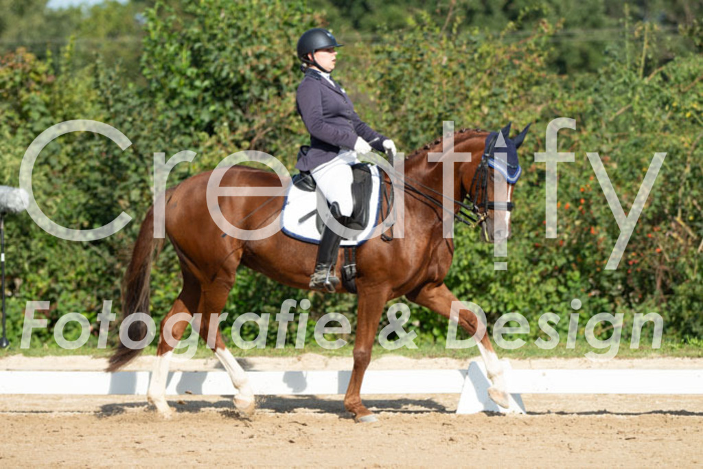 IMG_0548 | Creatify Fotografie