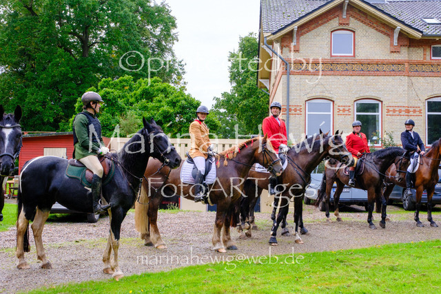Jagd Perdoel 26 Fuji-9835_MarinaHewig | Fotografie, FotoArt, PferdesportArt, Pferdesportfotografie, Landschaftsfotografie, Reisefotografie, Reise, Pferde - Realisiert mit Pictrs.com
