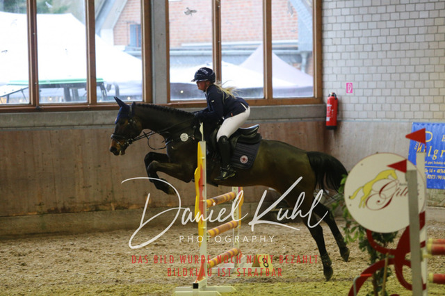 IMG_0850 | Deine Turnierfotos vom Reitturnier online kaufen: Dressur, Springen & Siegerehrung. Professionelle Pferdefotografie aus dem Rheinland – als Download & Print.Alternative: Turnierfotograf für den Pferdesport: Finde deine Fotos von Dressur- und Springturnier