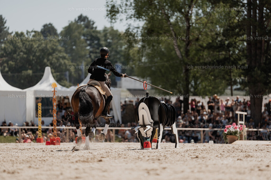 WE_SP_Stoib_330_PI2025_1992 | Pferd International München 2025