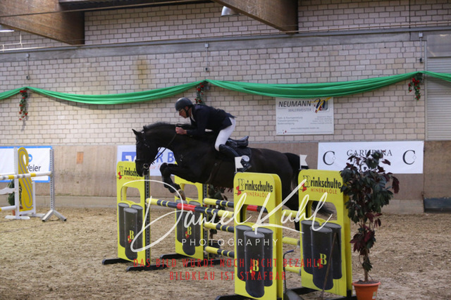 IMG_0894 | Turnierfotos kaufen im Webshop von Daniel Kuhl Photography – entdecke professionelle Reitsportfotos aus Turnieren & Events. Hochwertige Turnierbilder online bestellen & sichern. Jetzt Fotos von Reitsportturnieren kaufen!