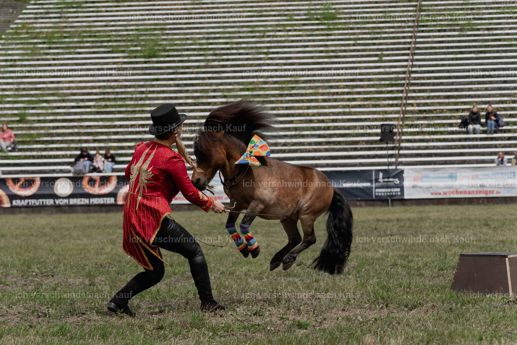 Showprogramm-243 | working equitationturnier fotograf videograf stoibphotography marixx film working equitation deutschland reitsport turnierfotografie eventfotografie equestrian events