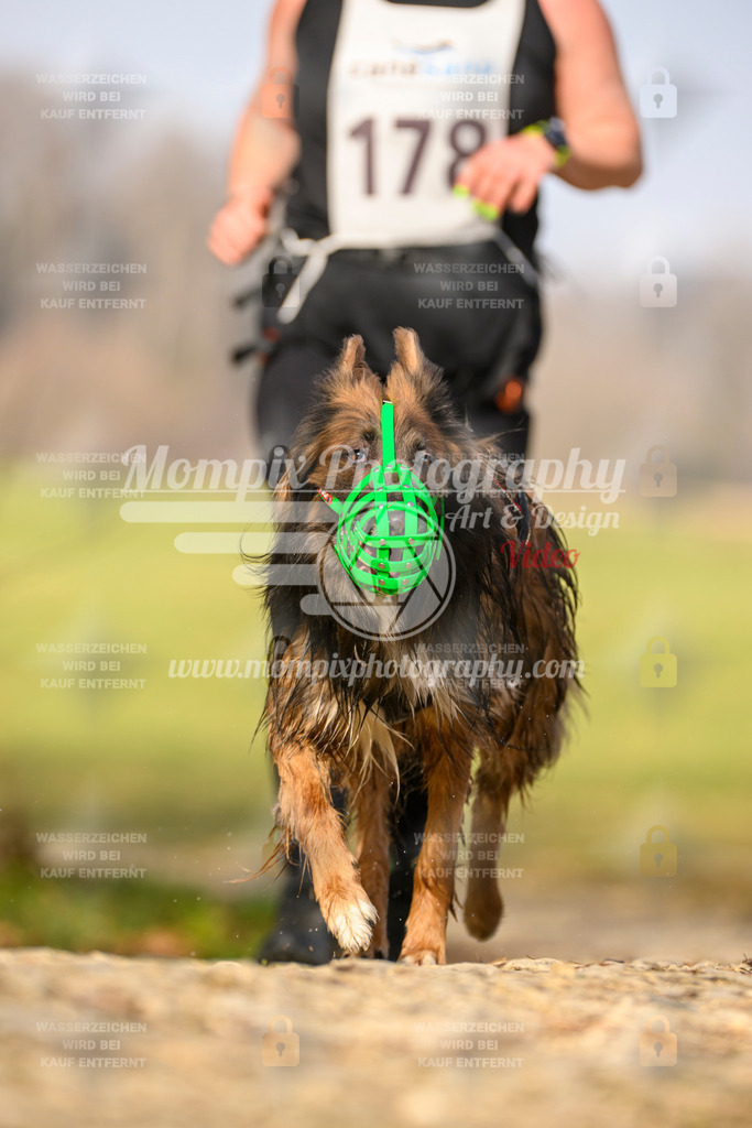MompixPhotography_6ReiatRennen2026_SA_HappyDog-46 | PayLife