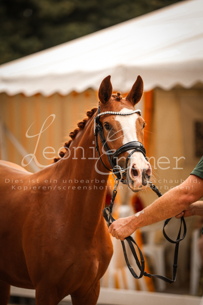 11.So00126 | Leoni Ertmer Photography - Realisiert mit Pictrs.com