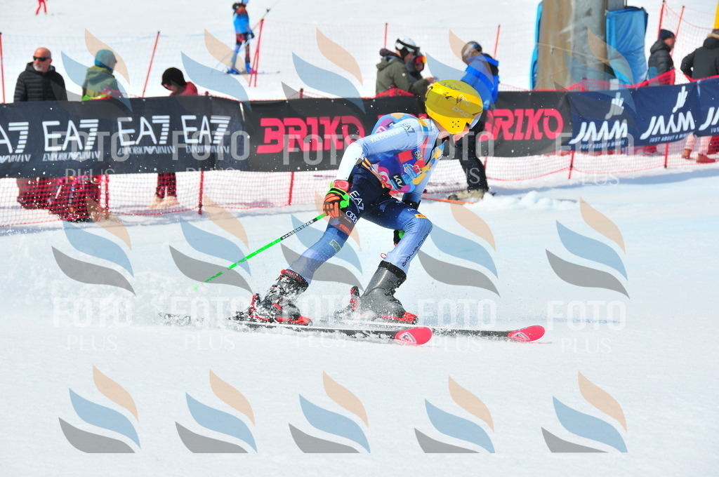 DSC_7084 | holidayphoto