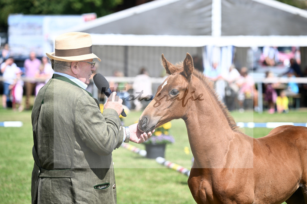 Impressionen_30251399 | hf-fotografie - Realisiert mit Pictrs.com